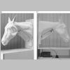 Horse jugular vein access model Eichel et al 2013