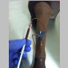 SurgiReal Canine Leg Vascular Access Simulator