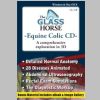 The Glass Horse - The Equine Colic CD